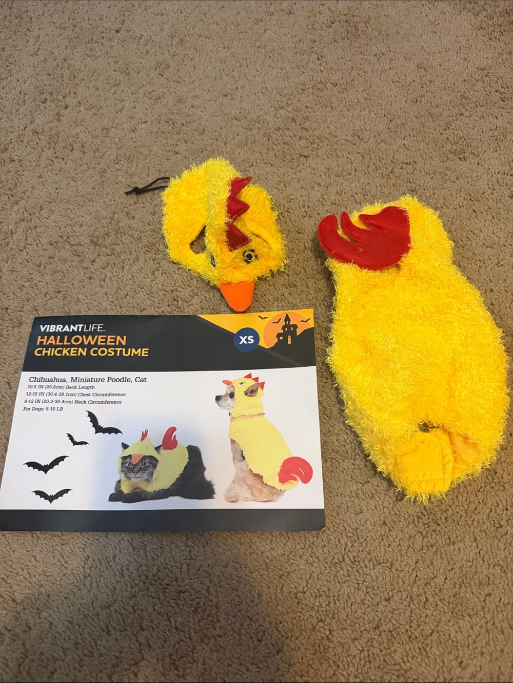 Halloween chicken /pizza slice costume size extra small